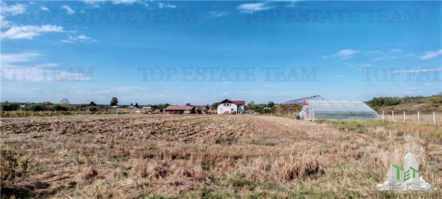 Ferma 3,3ha, din care 2,5ha intravilan, vila 7 camere, D+P+E+M, casa pentru munc