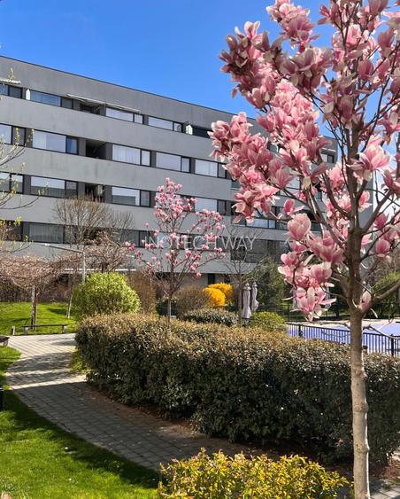 2 Camere cu terasă Chitila | Bucurestii Noi | Lac Străulești - 16