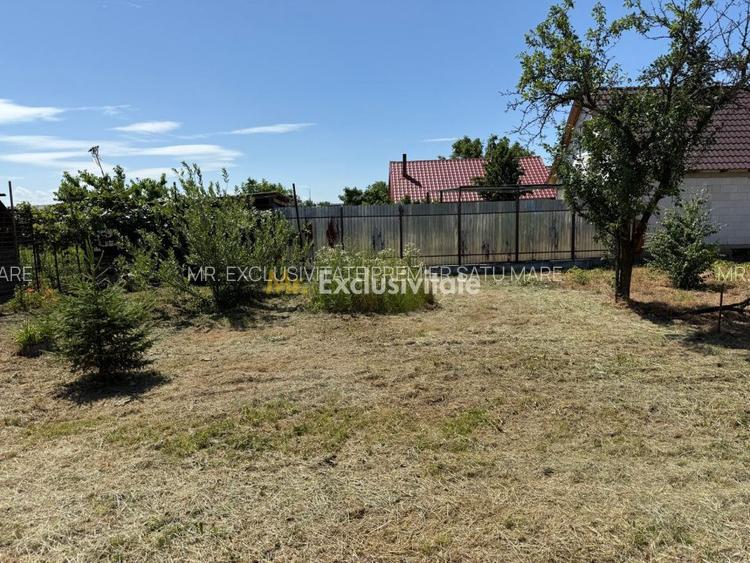 Casa de vânzare in Livada , Satu Mare - 40