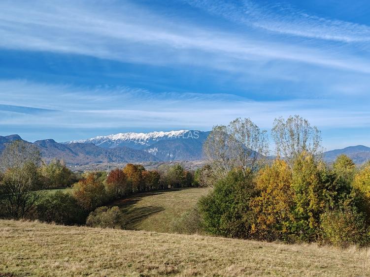5.800 mp extravilan, Sohodol-Bran, retreat, cabane, off-grid ecoturism, panorama - 6