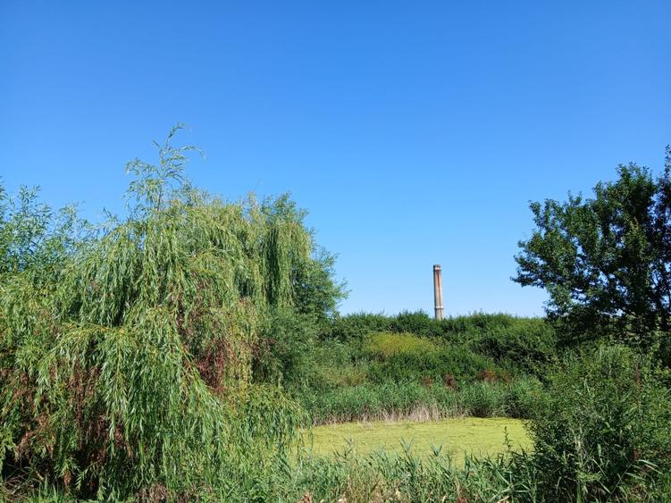 🏡 Casă de vânzare – Lunca Cetățuii, comuna Ciurea