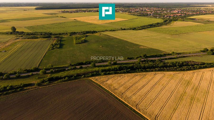 TEREN EXTRAVILAN DE 42.200 MP SECUSIGIU - 10