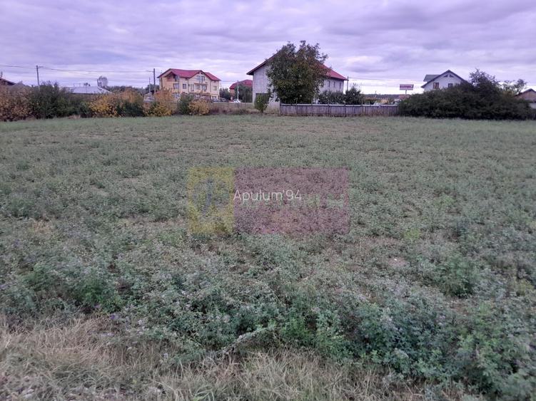 DE VANZARE TEREN 2000 MP  -  COSERENI( il ) - 13