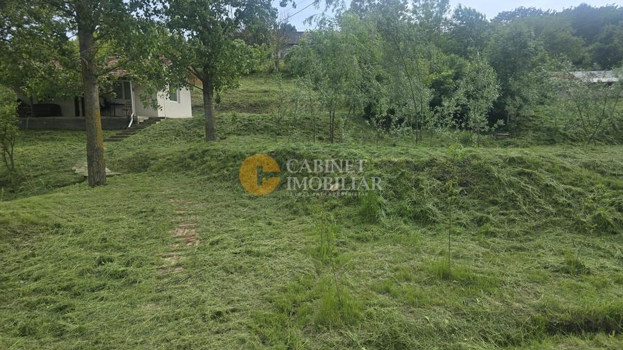 Oază de liniște și natură! Casă  cu 2 heleșteie și pârâu în curte – Probota