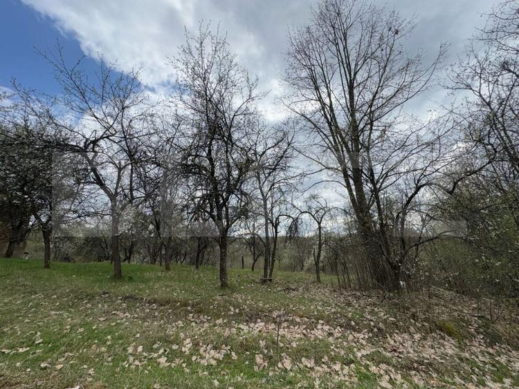 Vând casa cu 1 ha de livadă in Carmazanesti