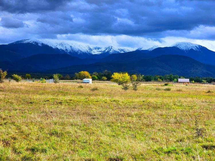SUPER OFERTA! Teren 2000mp - Valea Avrigului, Sibiu