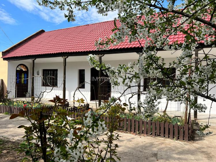 Comis. 0% - Centru - Sanandrei - Teren 1850 mp + Casa renovata complet - 8