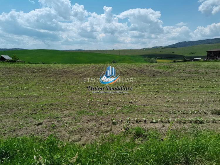 Teren 8500 mp cu deschidere 32 m, Negresti, Jud. Neamt