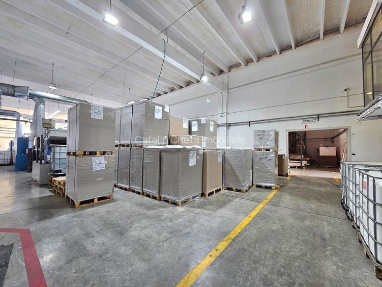 Hale Industriale 5065 mp de vanzare Str. Bradului - Bacau - 4