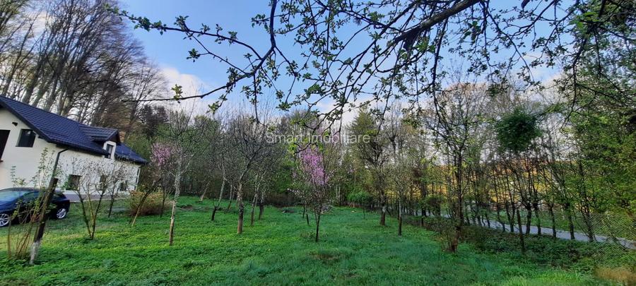 Cabana 4 camere zona Valea Avrigului - 21