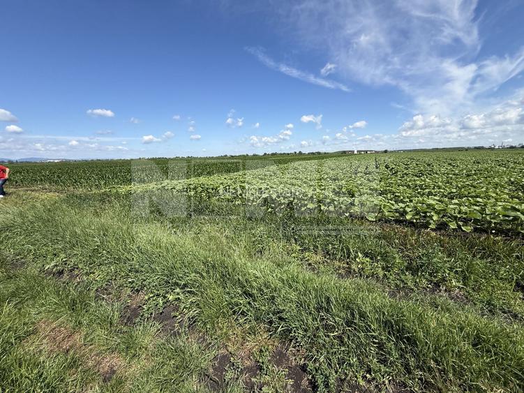 Teren extravilan de vânzare | Rădăuți | 4.000 mp - 2