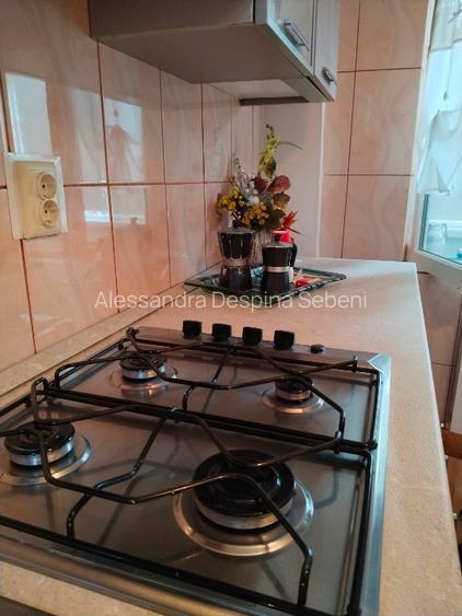Apartament Gugesti   - 11
