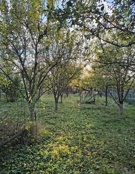 De vânzare casă cu teren 770 mp, în Dâmbul Rotund
