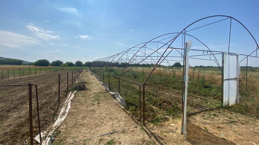 Teren extravilan S= 5000 mp, Udeni-Zavoi, Arges