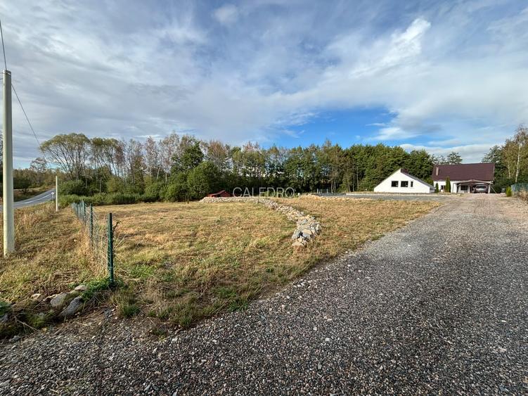Cabana noua la Rasca cu teren de 6000 mp - 3