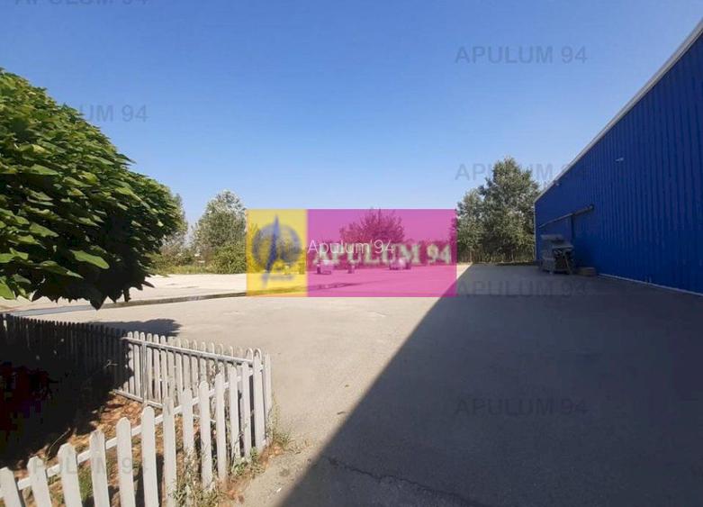 Spatiu Logistic langa Bucuresti Hala 5000 mp - 22