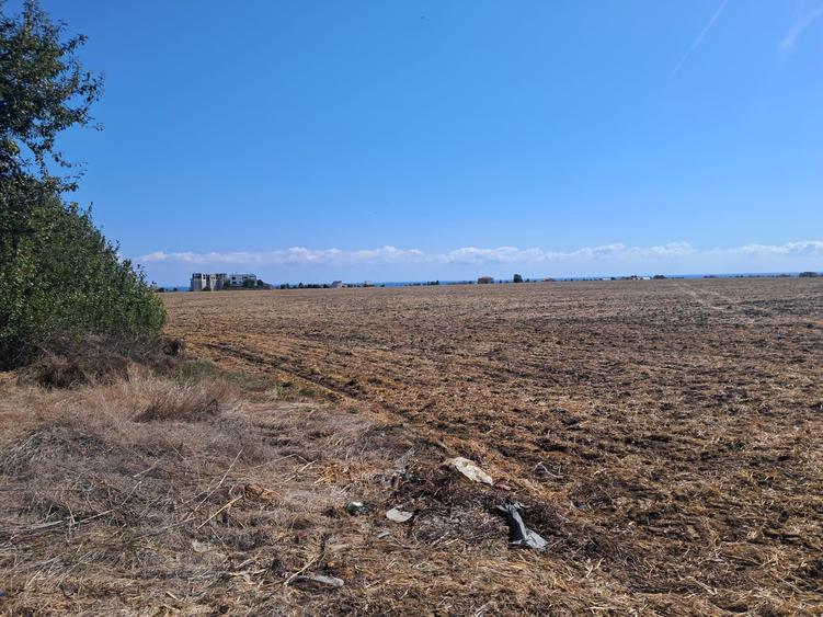 EXCLUSIVITATE! TEREN EXTRAVILAN -10.000 mp – COSTINEȘTI, SCHITU, ZONA RADAR
