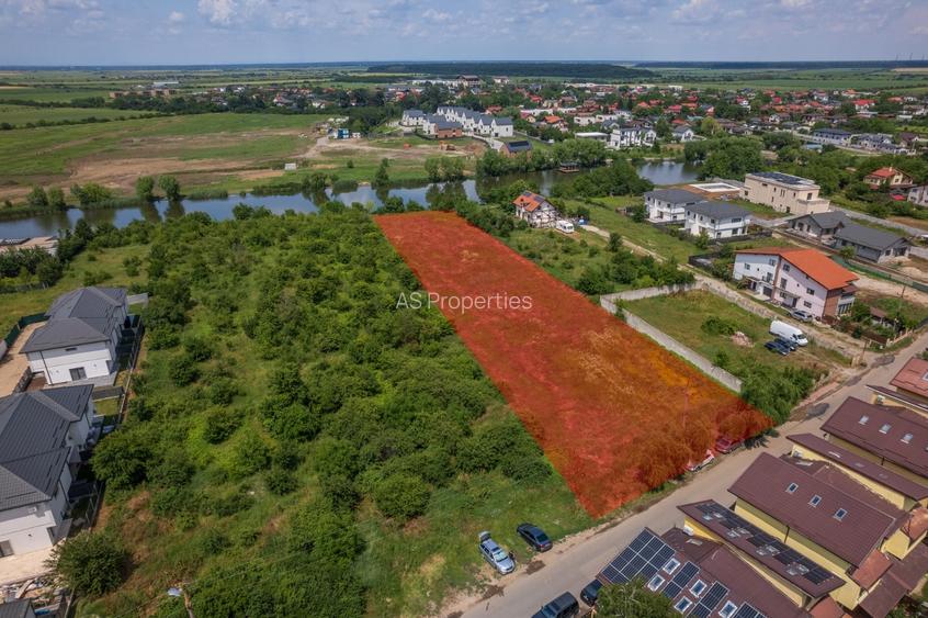 Teren 5.000 mp cu deschidere la lac | Corbeanca – Paradisul Verde - 7