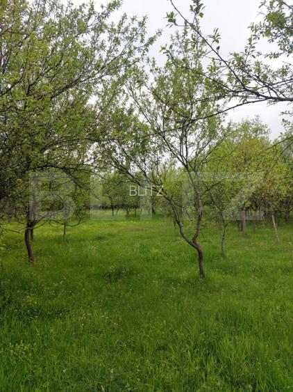 Teren 6500 mp, front 125 ml, utilitati, liniste – Ulieș, comuna Gurasada - 3
