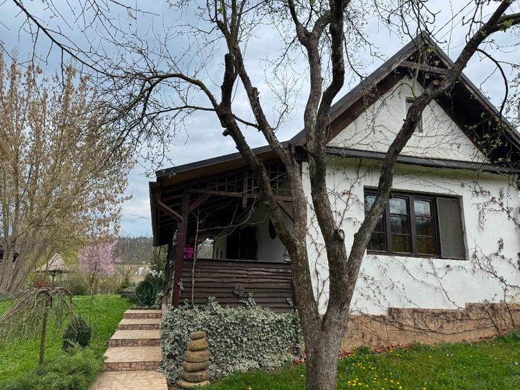 De vanzare 0,75ha cu doua case, gradina, livada etc Ideal camping, tabere, ferma