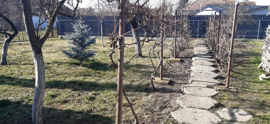 Casa cu 820 mp teren Toate utilitatile functionale Mehala