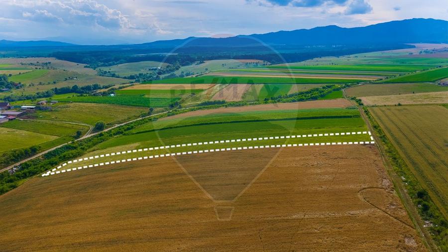 Oportunitate pentru fermieri: 10.800 mp teren arabil în Rotbav, Brașov