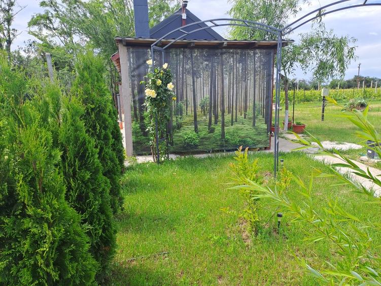 De vanzare teren intravilan cu livada si utilitati