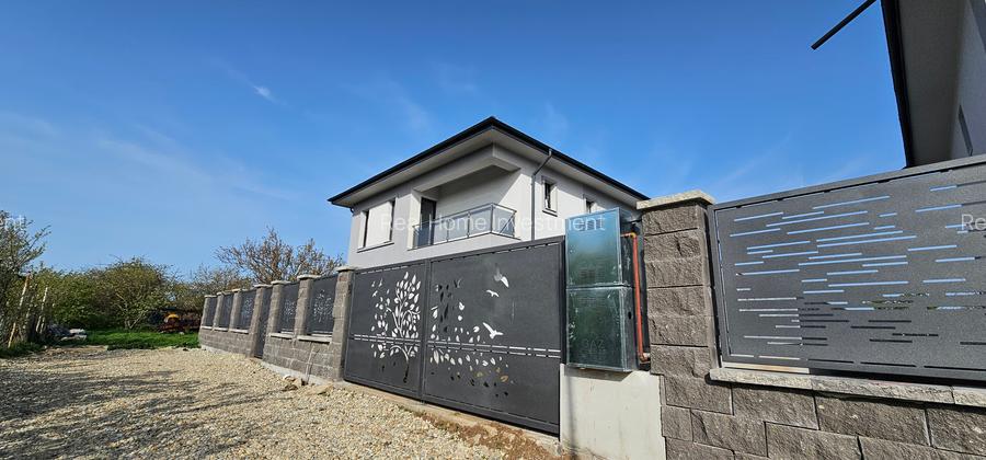 Vila/Casa individuala 4 camere/Com.Berceni - 4