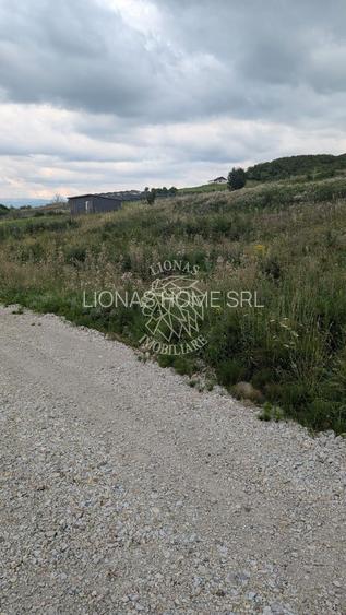 Teren 1000 mp cu utilitati-ideal casa, cabana, investitie-Dealul Jelnei - 4