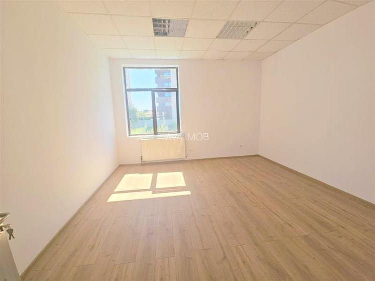 De inchiriat spatii birou – Arena Mall, Bacau - 2