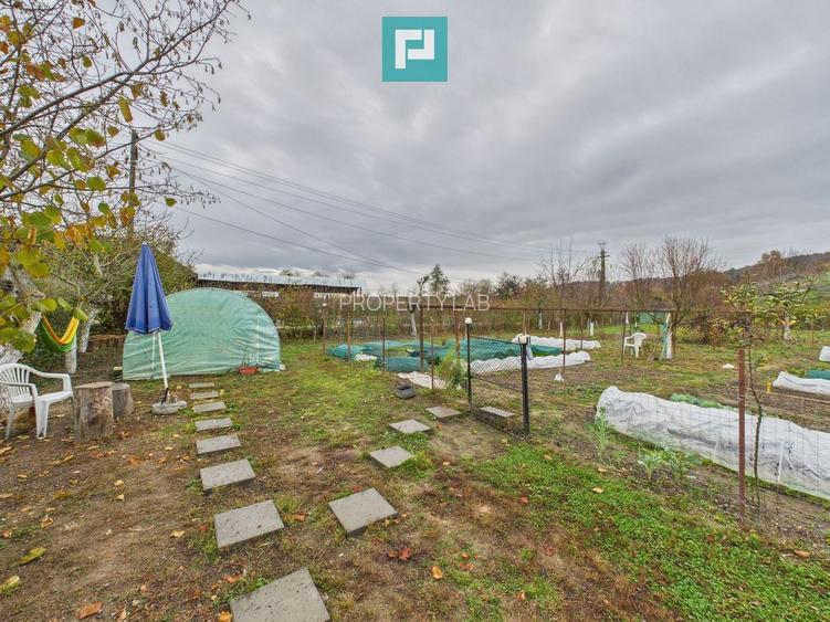 Casă renovată în localitatea Comănești, Arad - 23