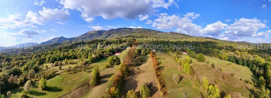 Teren intravilan+extravilan / Corbeni-Arges - 4