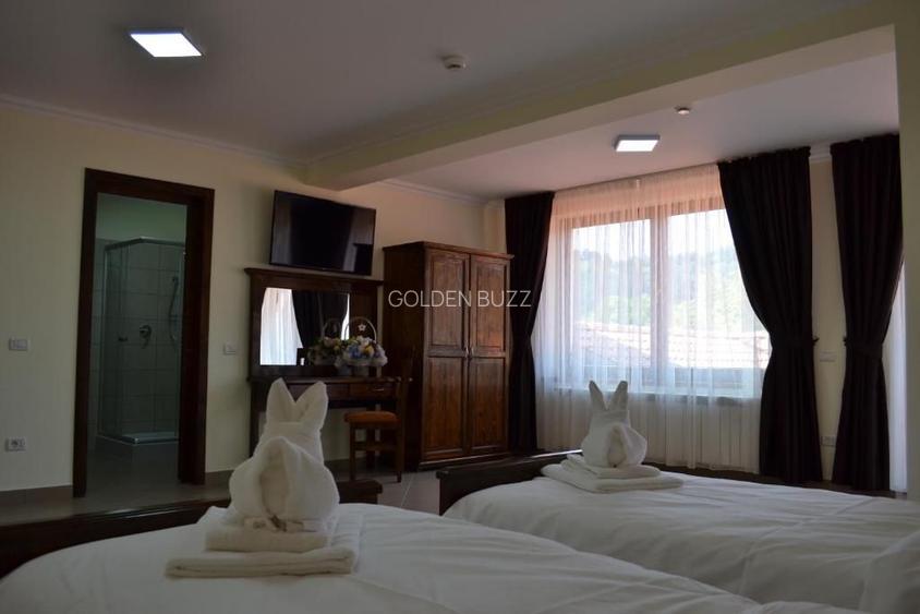 Oportunitate de Investiție – Hotel de Vânzare în Moieciu de Jos - 4