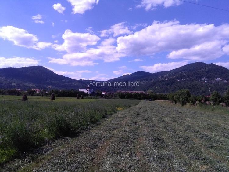 Teren intravilan , Vadurele - 3