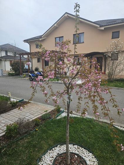 Duplex elegant în Corbeanca – liniște, confort și acces rapid către București - 9