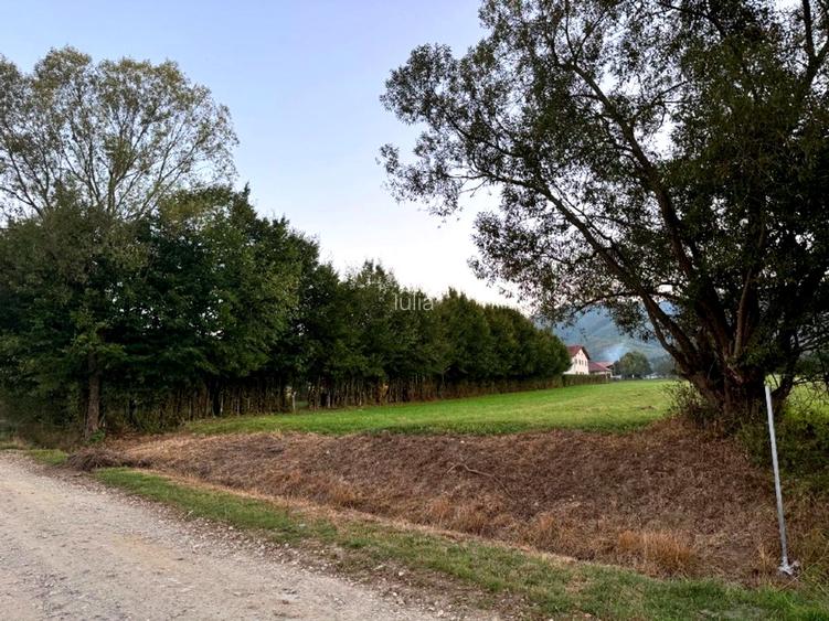 Teren intravilan in cartier Tocile comuna Sadu jud. Sibiu - 10