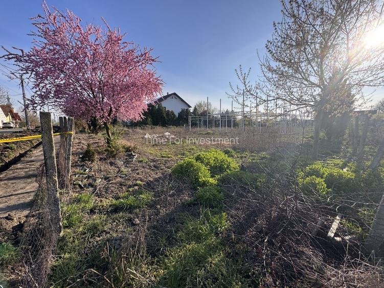 Teren Intravilan Becicherecu Mic 750mp,F.S 19ml,Utilitati,Asfalt - 2