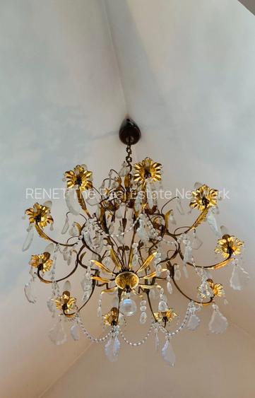 Vila de lux, 427 mp utili și 2313 mp teren, pe malul lacului (Cociova) Balotesti - 5