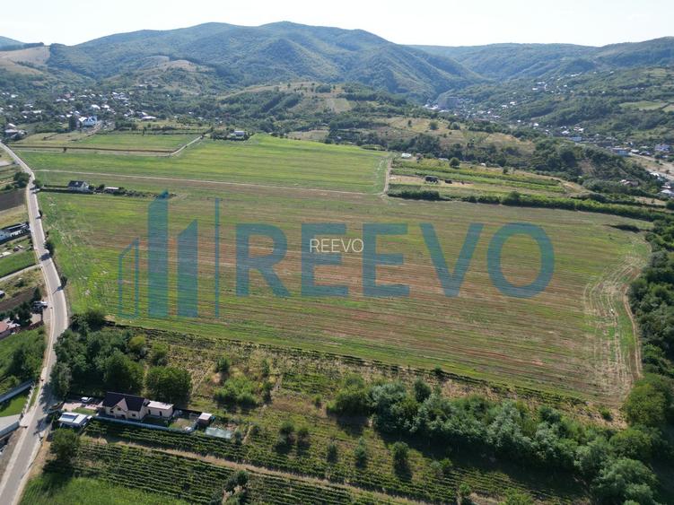 Teren de vânzare, Com. Sarata, Jud. Bacău - 9
