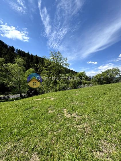 Teren 5777 mp in comuna Ceahlau - 10