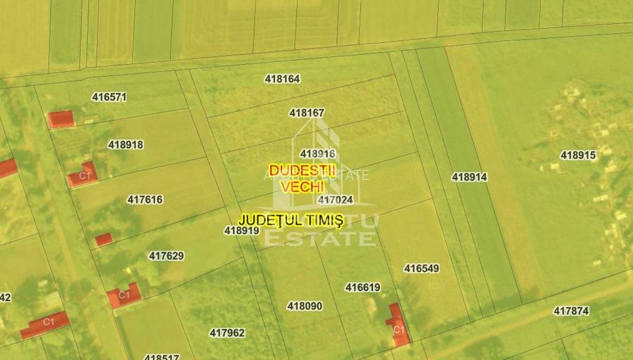 Teren 2.572 mp Dudeștii Vechi la 23.000 € - 3
