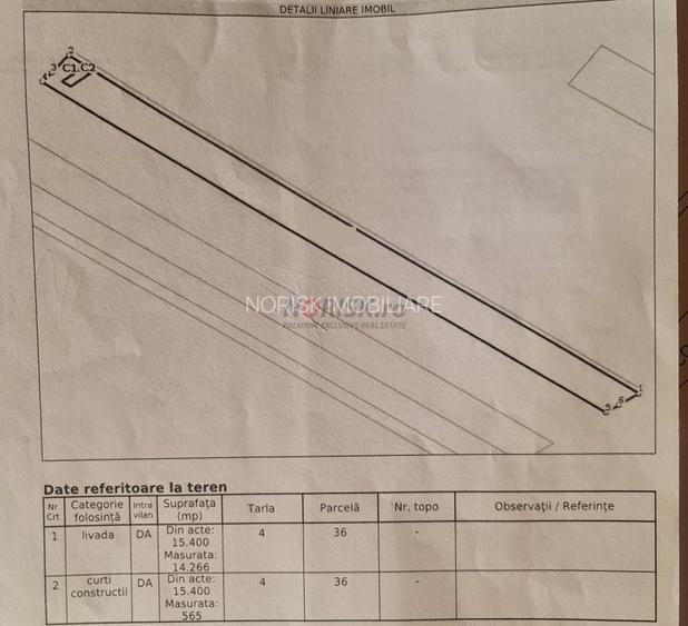 Vila + Afacere 15.000mp Clinceni - 29