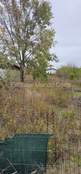 Domnești- Str.Fortului, 742mp, gaze, lumină - 2