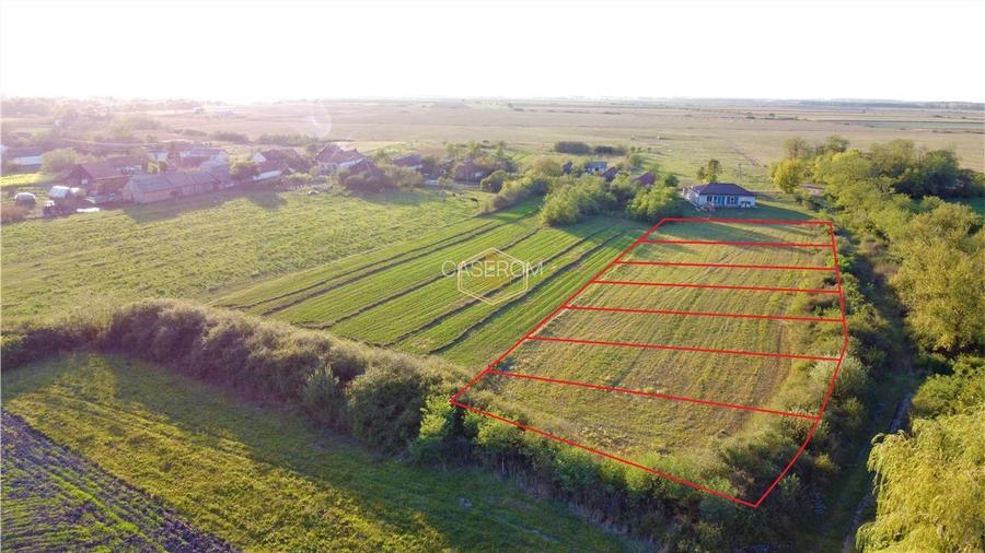 Teren intravilan 750 mp | Plata in 12 rate | Aproape de Satu Mare - 4