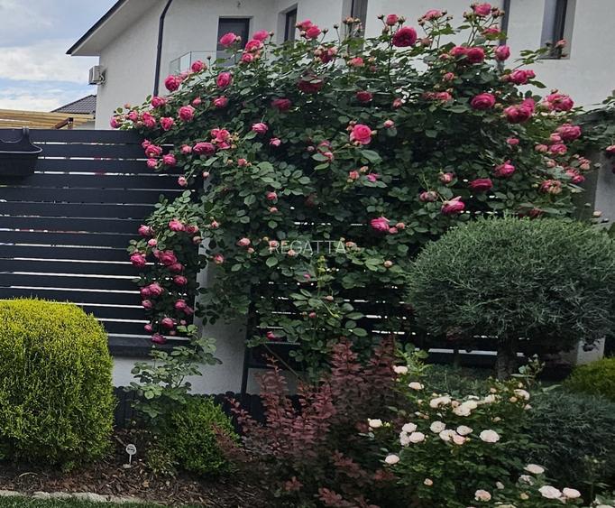 Vila superba in Paradisul Verde Corbeanca - 10