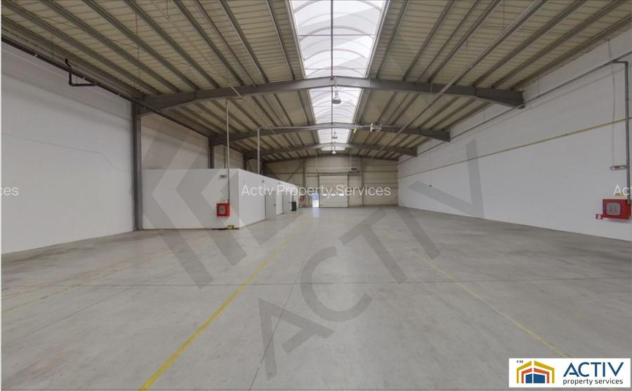 Hale de inchiriat in Arad - Str. Cornelia Bodea - 2