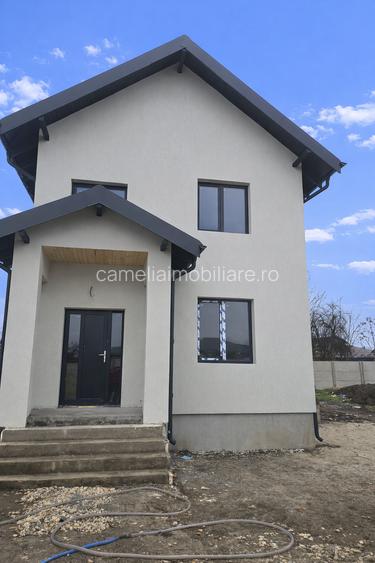 Vila curte, Domnesti 4 camere 2 bai curte 400 mp deschidere 20 ml zona centrala - 6