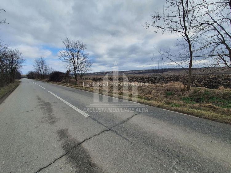 Teren extravilan | De vanzare | 1300 mp | 25 ml deschidere | Ciugud - 8