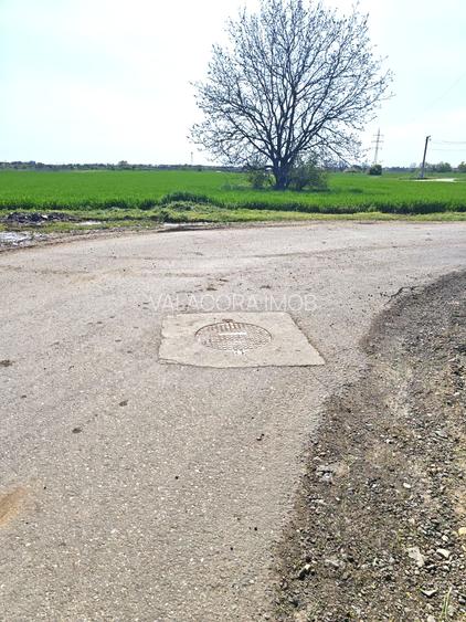 Teren intravilan | Dragomiresti Vale | Sat Zurbaua IF | INVESTITIE - 3