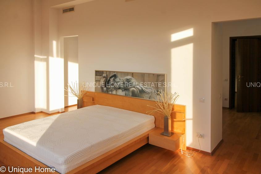 Iancu Nicolae : Penthouse spectaculos, cu terase de peste 300 mp ! - 10